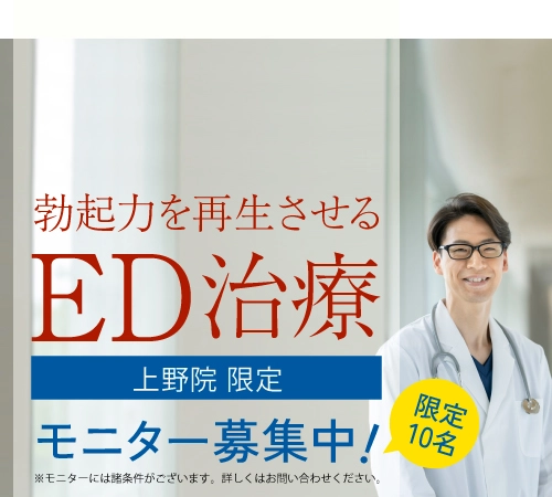 **** イメージ画像